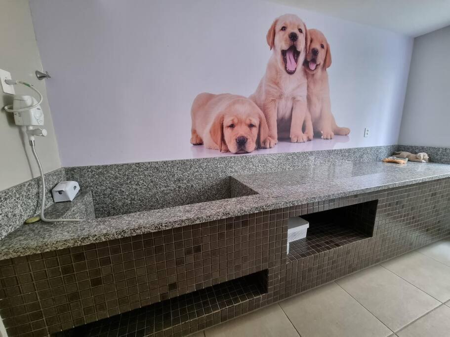 Confortavel Apto Inteiro No Coracao Do Tatuape Z/l Apartamento